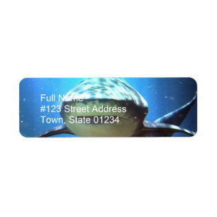 Label Shark Return-adres