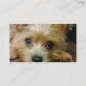 Label Sjabloon Visitekaartje (Achterkant)