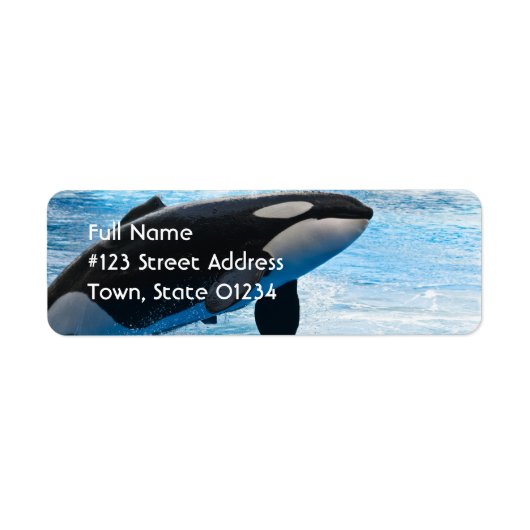Label terugzendadres walvis (Voorkant)