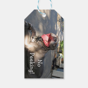 Label voor het glimlachen van Pitbull Gift Cadeaulabel
