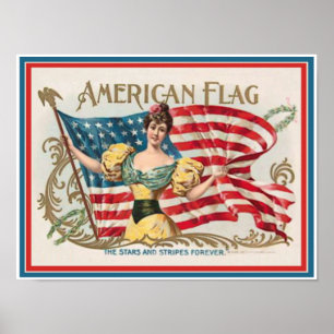  label voor signaaldoos - Amerikaanse vlag Poster