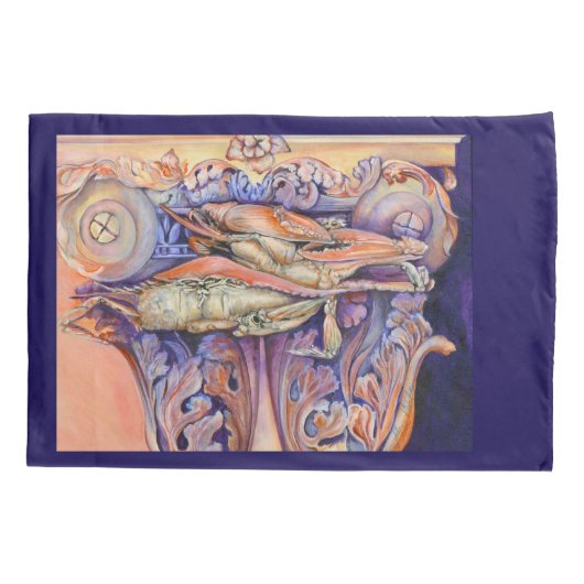 Label voor spinnen en krullen kussensloop (Achterkant)