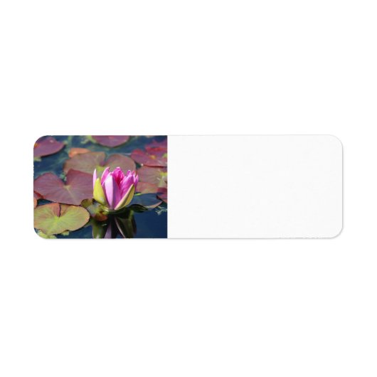 label Waterlily Return-adres (Voorkant)