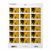 Label wiellijstadres (Full Sheet)