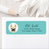 Labels op het Franse bulldog-adres (Insitu)