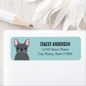 Labels op het Franse bulldog-adres (Insitu)