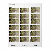 Labels van druiven uit de wijnstok (Full Sheet)