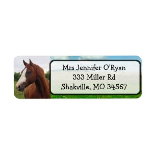 Labels voor retourzending van paarden