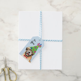Labels voor terriddercadeautjes bij Birthday Party Cadeaulabel