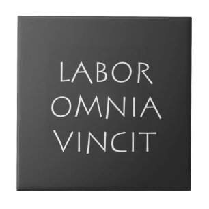 Labor omnia vincit tegeltje