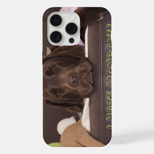 Laboratoire De Chocolat Drowsy Avec Jouets (Verso)