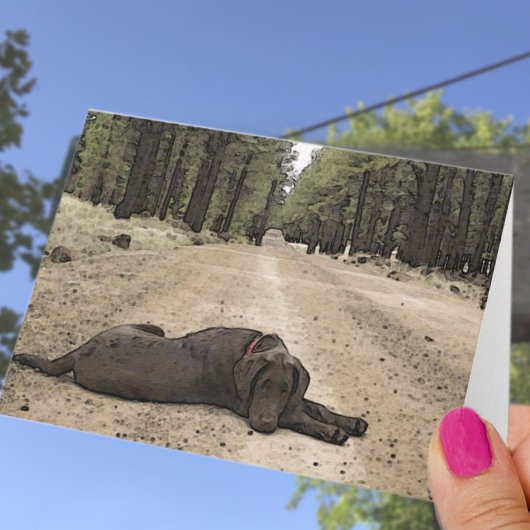 Laboratoire de chocolat manqué sur le Modèle de se