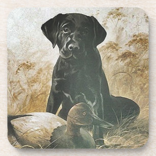 Laboratoire de Labrador de dessous de verre et