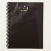 laboratoire noir (Devant)