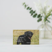 Laboratoire noir dans des cartes de visite de (Debout devant)