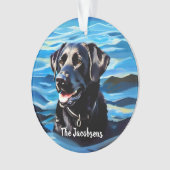 Laboratoire noir dans l'eau (devant)