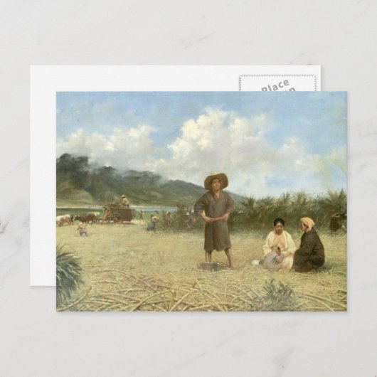 'Laboratoires Japonais, Maui' - Carte postale (Devant / Derrière)