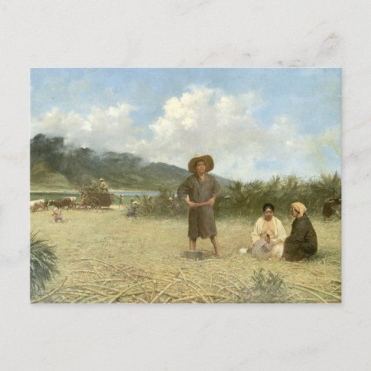 'Laboratoires Japonais, Maui' - Carte postale (Devant)