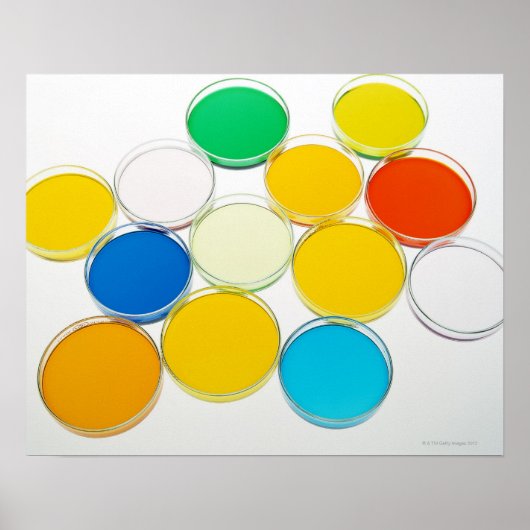 Laboratorium Dish 2 Poster (Voorkant)