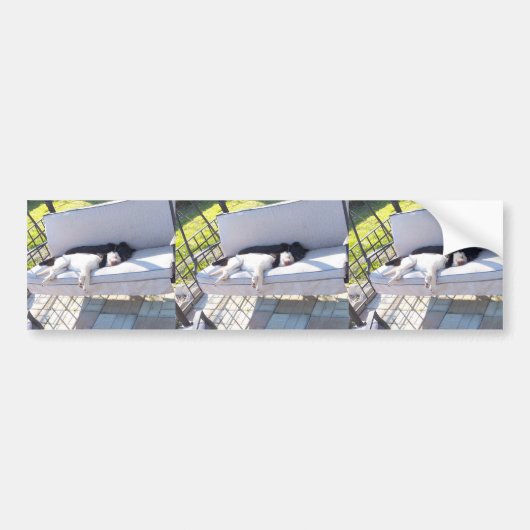 laboratoriumgroep slapen bumpersticker (Voorkant)