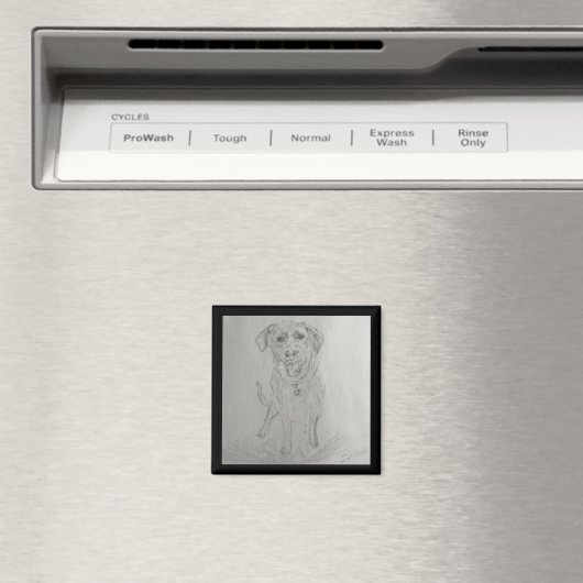 laboratoriummagneet magneet (Insitu (Vaatwasser))