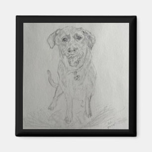 laboratoriummagneet magneet