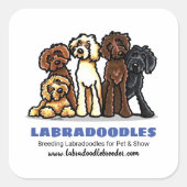 Labradoedle Breeder Custom Marketing Vierkante Sticker (Voorkant)