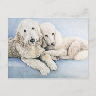Labradoedle en Standard Poodle Dog Art Briefkaart