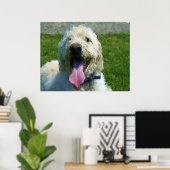 Labradoedle print (Thuiskantoor)