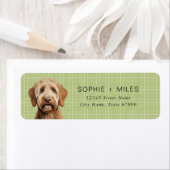 Labradoedle Return Address Labels (Insitu)