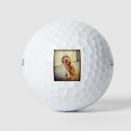 labradole golfballen (Voorkant)