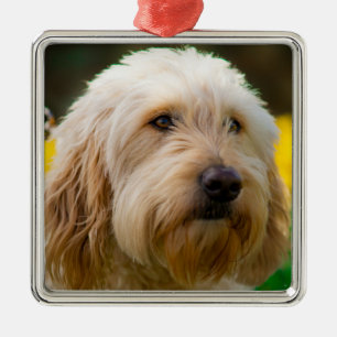 Labradole Puppy Dog Metalen Ornament