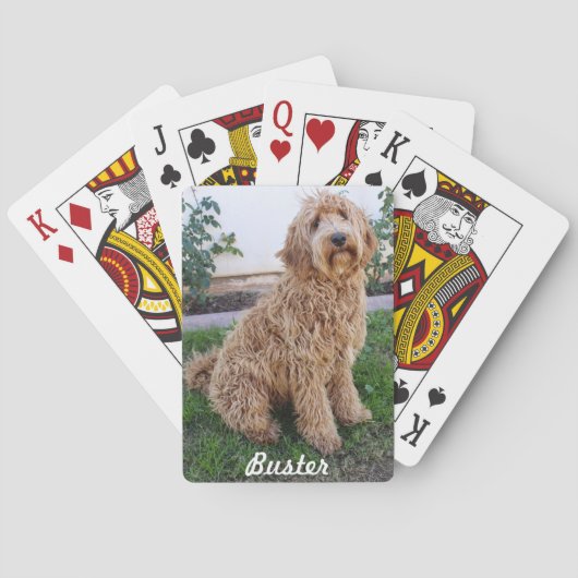 Labradole Puppy Dog Pokerkaarten (Achterkant)