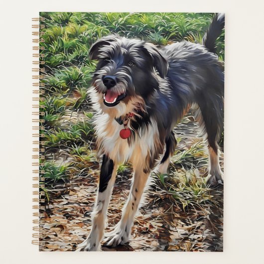 Labradoodle (Devant)