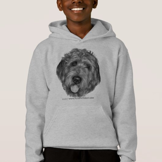 Labradoodle (Devant)