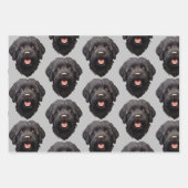 Labradoodle Black Dog Inpakpapier Vel (Voorkant 2)