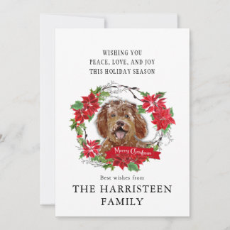 Labradoodle bruine Waterverf Poinsettia Kerst Feestdagenkaart