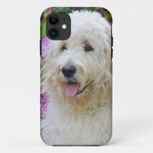 Labradoodle iPhone 11 Hoesje