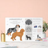 Labradoodle chien mélange (Mariage)