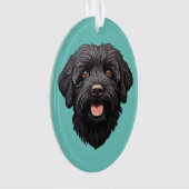 Labradoodle Chien noir (devant)