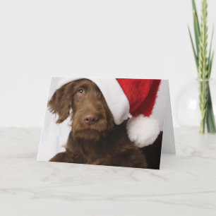 Labradoodle die een pet van de Kerstman dragen Feestdagen Kaart