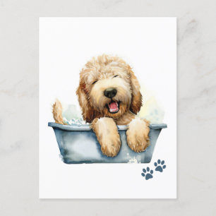 Labradoodle Dog Briefkaart