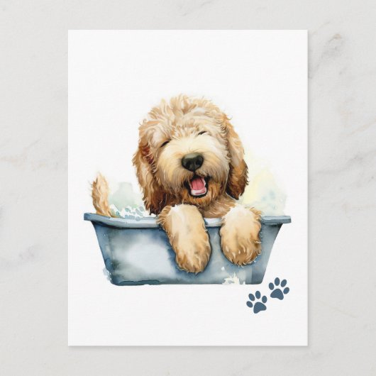 Labradoodle Dog Briefkaart (Voorkant)