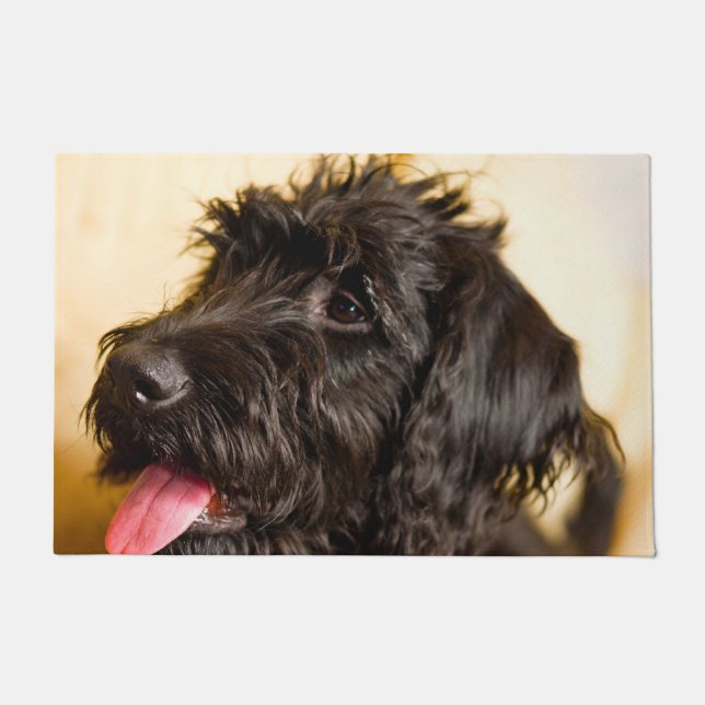 Labradoodle Dog. Deurmat (Voorkant)