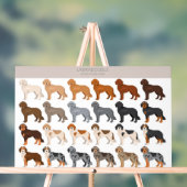 Labradoodle dog mix acryl bord (Neutraal)