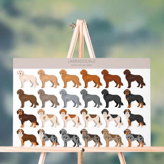 Labradoodle dog mix acryl bord (Neutraal)