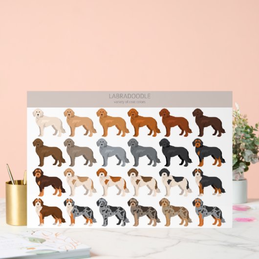 Labradoodle dog mix acryl bord (Huwelijk)