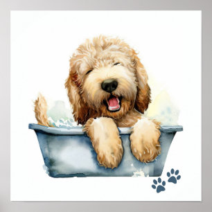 Labradoodle Dog Poster