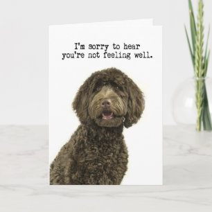 Labradoodle Get Well Card Kaart