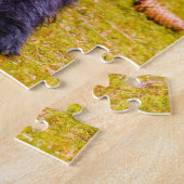 Labradoodle hond. legpuzzel (Zijkant)
